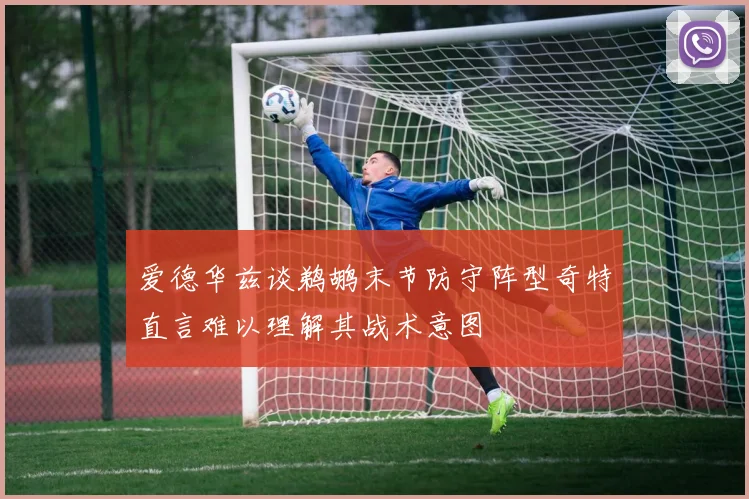 爱德华兹谈鹈鹕末节防守阵型奇特直言难以理解其战术意图