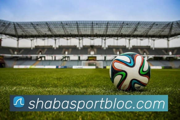 沙巴足球官网平台生态图